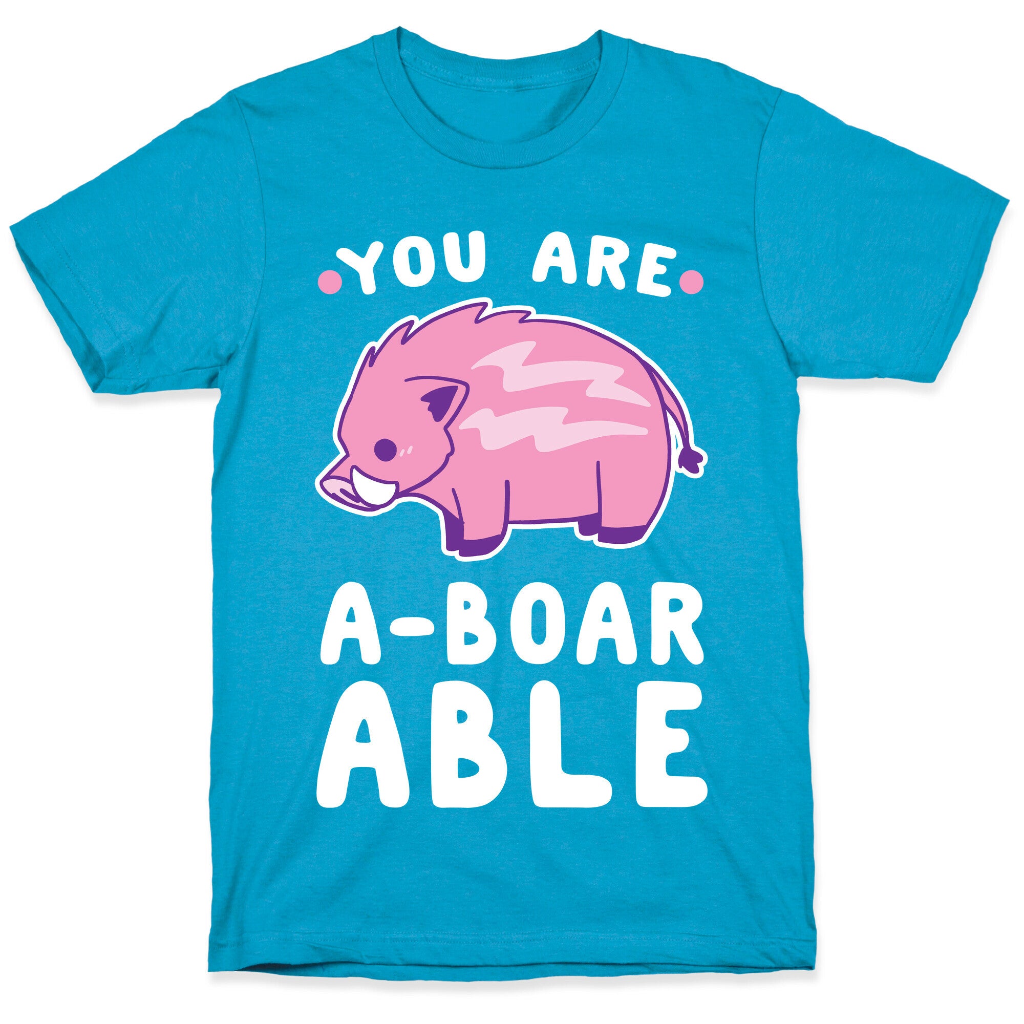 You are Aboarable Unisex Triblend Tee